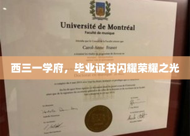 西三一学府荣耀启航，毕业证书点亮青春梦想之路