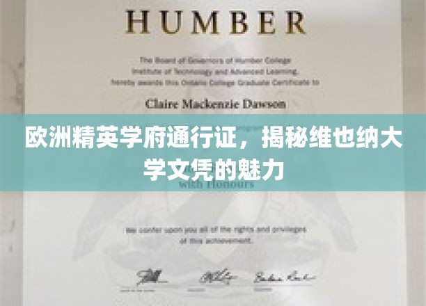 解锁维也纳大学，欧洲精英教育护照的奥秘