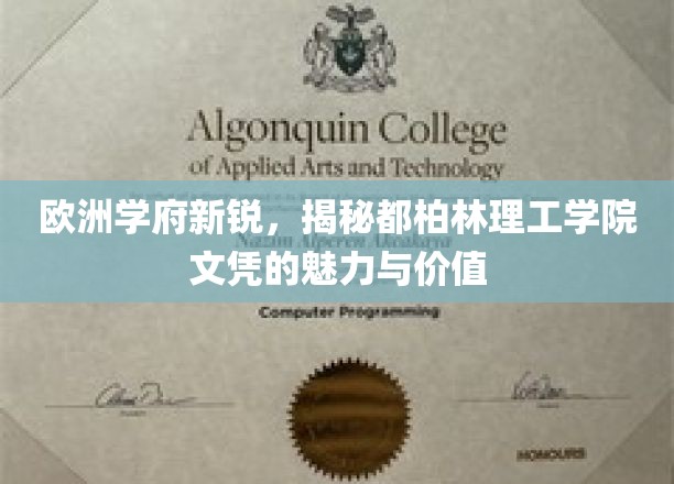 解码都柏林理工学院，欧洲教育新星的文凭魔力与无限潜力