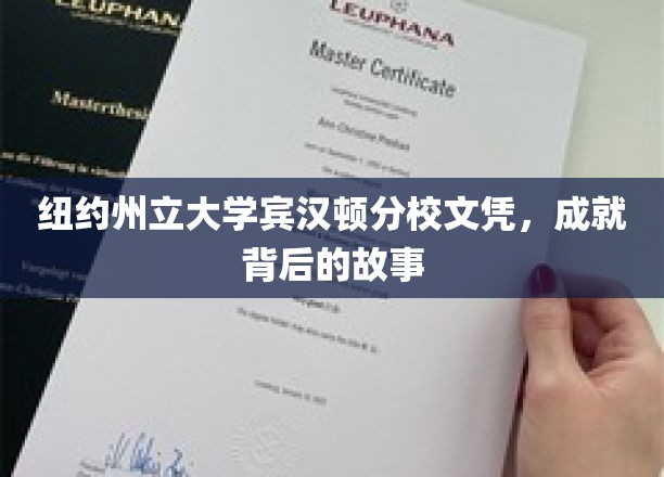 纽约州立大学宾汉顿荣耀，揭秘文凭背后的奋斗传奇