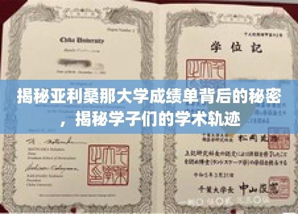 解码亚利桑那大学成绩单，学子学术足迹大揭秘