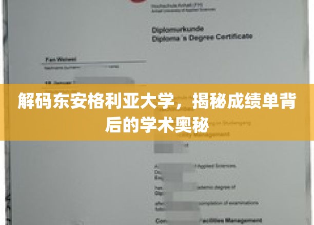解锁东安格利亚大学，成绩单中的学术密码大揭秘