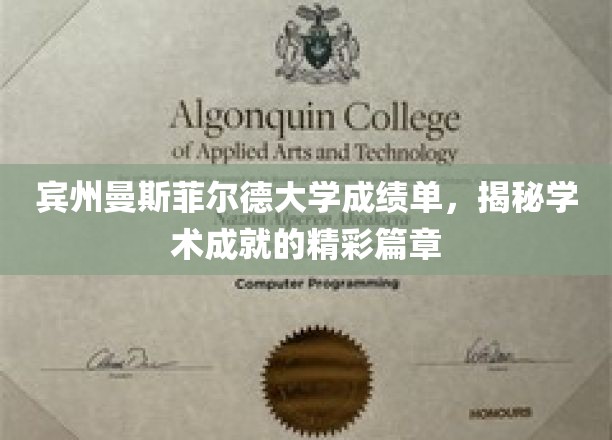 宾州曼斯菲尔德大学成绩单，谱写学术辉煌的璀璨篇章