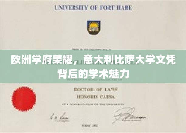 探寻意大利比萨大学，欧洲顶尖学府的学术光环与荣耀