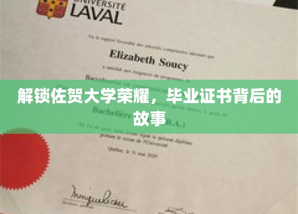 佐贺大学传奇揭秘，毕业证书背后的不凡历程