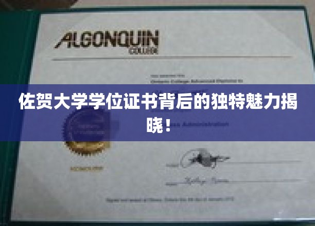 佐贺大学学位证书背后的独特魅力揭晓！