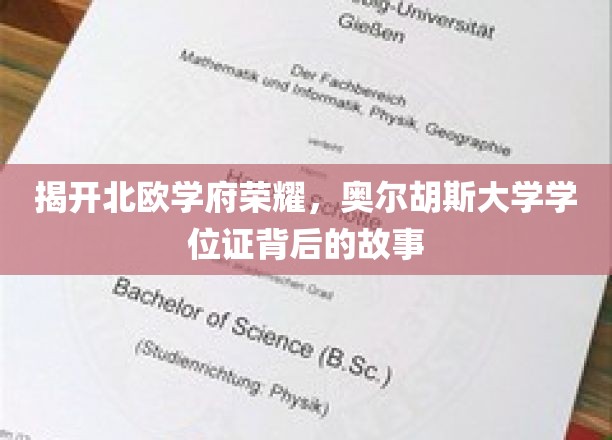 探寻北欧学府之光，奥尔胡斯大学学位证的传奇历程