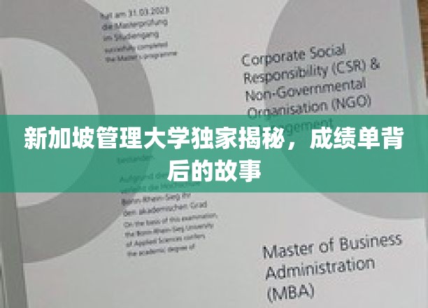 解码新加坡管理大学，成绩单背后的成长轨迹