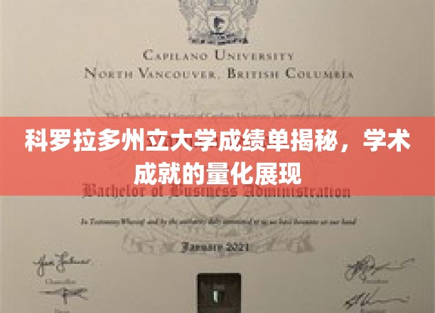 科罗拉多州立大学成绩单揭秘，学术成就的量化展现