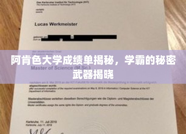 探索阿肯色学霸背后的神秘成绩单策略