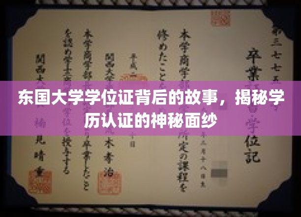 东国大学学位证之谜，揭开学历认证背后的真实面纱