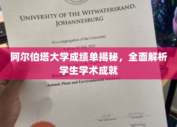 阿尔伯塔大学成绩单背后，深度解析学子学术辉煌之路