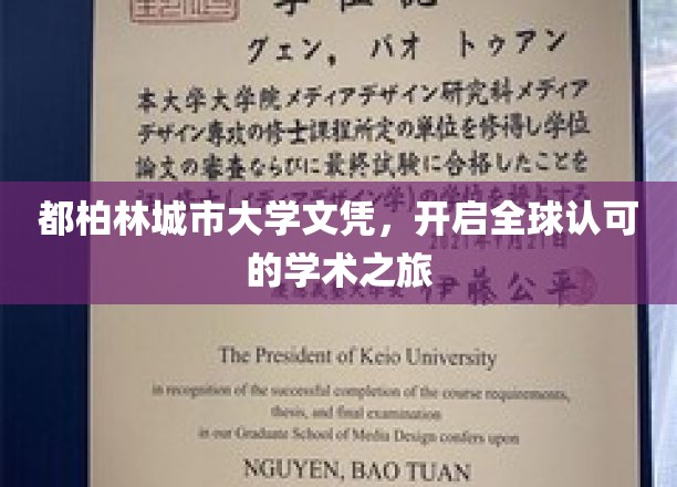 跨越国界，都柏林城市大学文凭引领国际学术新篇章