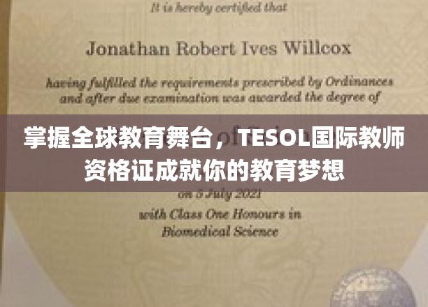 驾驭国际教育舞台，TESOL证书助力成就教育界璀璨人生