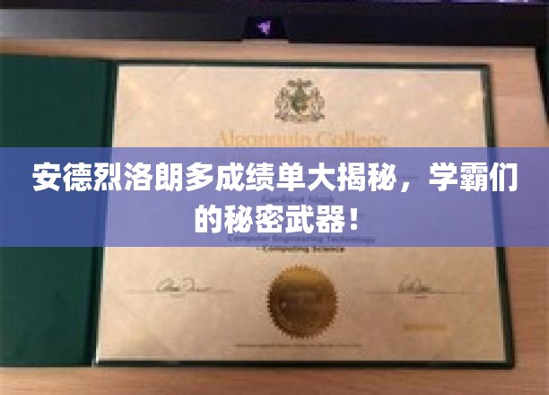 安德烈-路易·罗西恩学校成绩单揭秘，揭秘学霸们的成长轨迹！