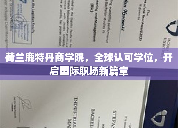 荷兰鹿特丹商学院，全球认可学位，开启国际职场新篇章