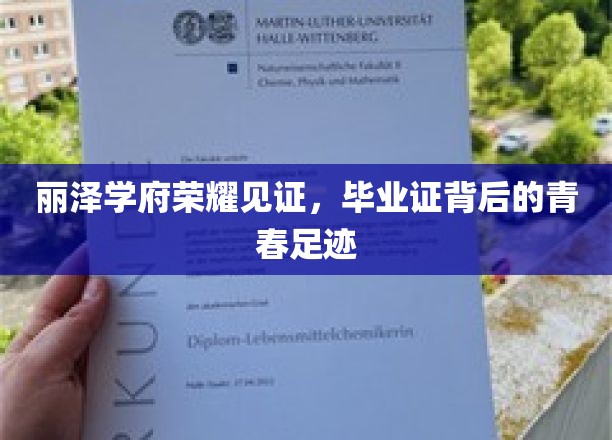 青春印记，丽泽学府毕业证背后的荣耀篇章