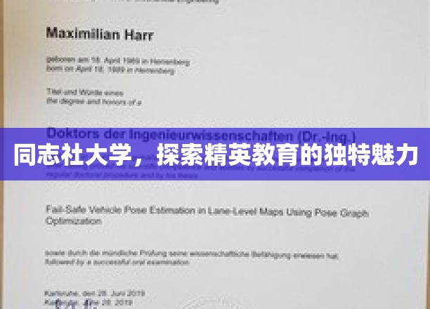 解码同志社大学，揭秘精英教育的非凡风采