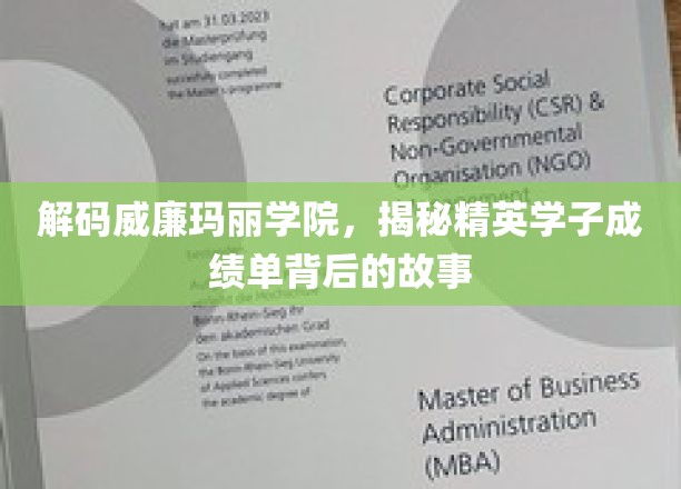 探寻威廉玛丽学院学霸秘籍，揭开顶尖学子成就背后的传奇故事