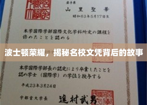 波士顿荣耀，揭秘名校文凭背后的故事