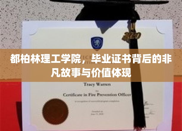 解析都柏林理工学院证书，揭秘毕业生背后的荣耀与价值之路