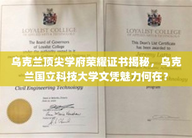 乌克兰国立科技大学文凭，揭秘其背后的学术魅力与荣耀