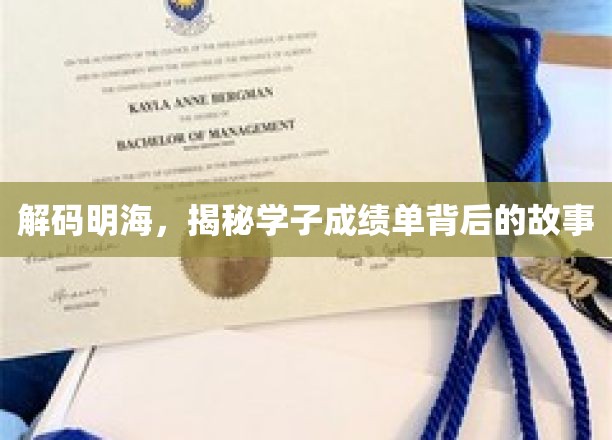 解码明海，一探学子成绩单背后的故事