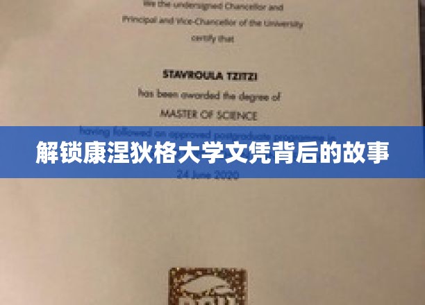 探寻康涅狄格大学文凭背后的传奇之旅