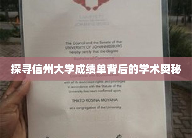 解码信州大学成绩单，揭开学术评价的神秘面纱