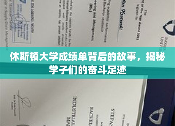休斯顿学子奋斗轨迹，一纸成绩单背后的青春篇章