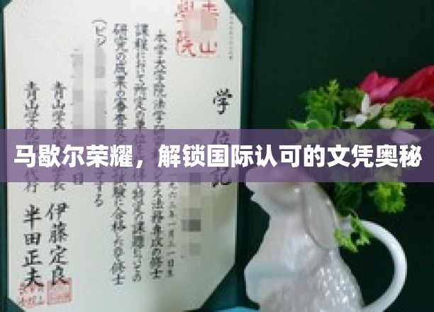 马歇尔荣耀，揭秘国际文凭背后的非凡魅力