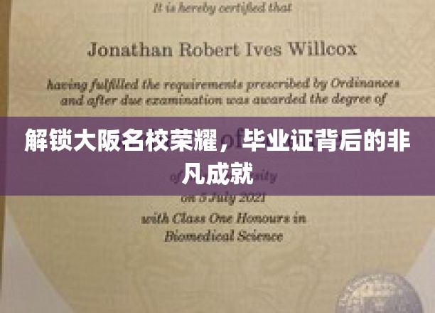 探寻大阪名校辉煌，揭秘学子背后的卓越成就