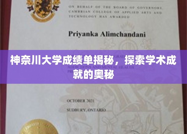 解码神奈川大学学霸秘籍，一窥学术卓越的背后