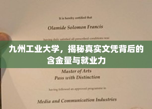 揭秘，九州工业大学文凭价值大揭秘，就业前景一窥究竟
