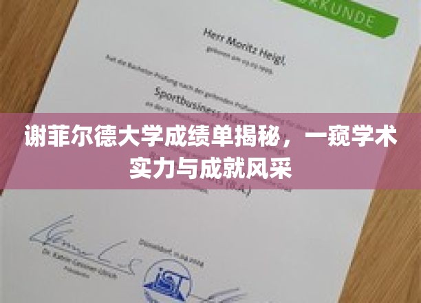 谢菲尔德大学成绩单揭秘，一窥学术实力与成就风采