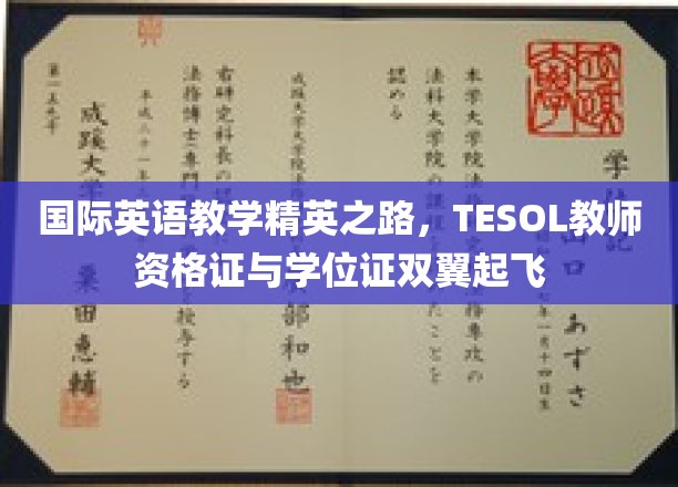 国际英语教学精英之路，TESOL教师资格证与学位证双翼起飞