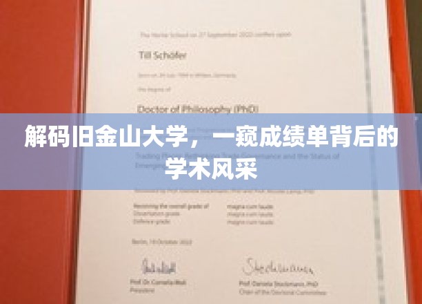 解码旧金山大学，一窥成绩单背后的学术风采