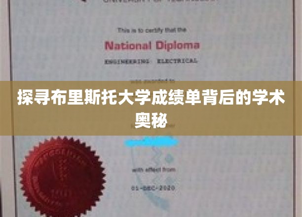 揭开布里斯托大学成绩单的神秘面纱