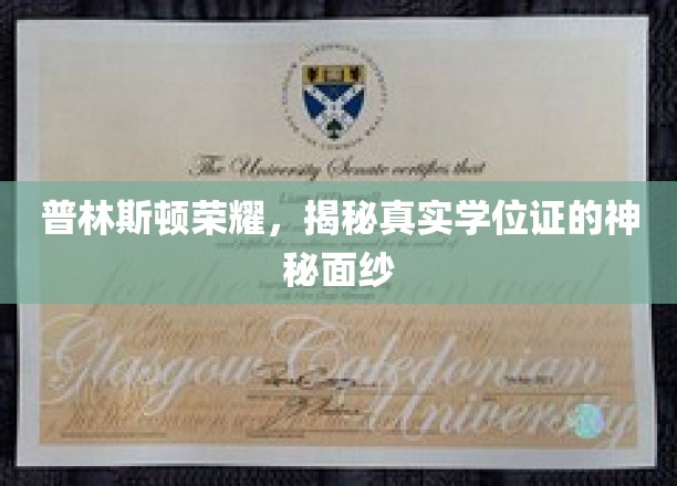 普林斯顿荣耀，揭秘真实学位证的神秘面纱