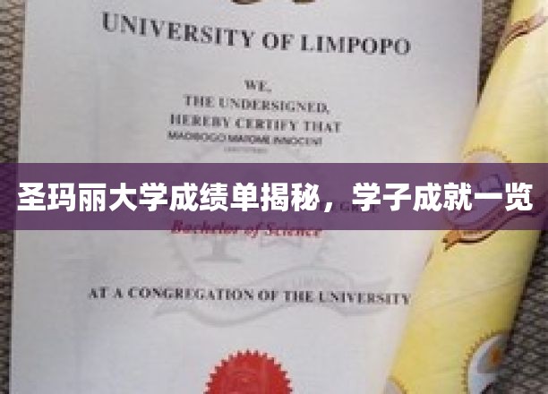 圣玛丽大学成绩单揭秘，学子成就一览