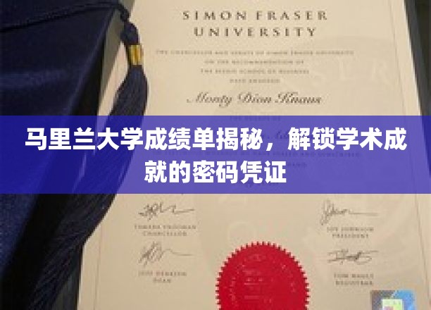 马里兰大学成绩单解码，探寻学术荣耀的神秘钥匙