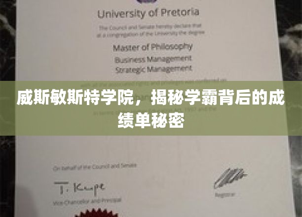 揭开威斯敏斯特学霸背后的高效学习奥秘