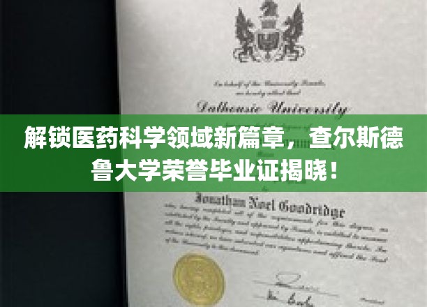 医药创新高峰，查尔斯德鲁大学骄子荣耀毕业，新证照见证未来辉煌