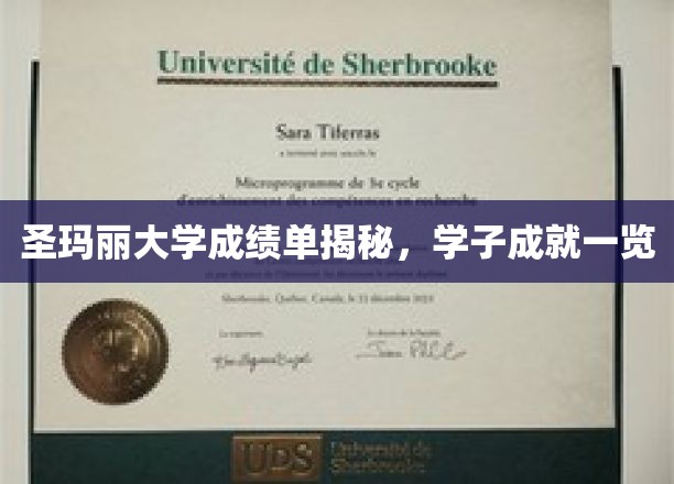 圣玛丽大学成绩单揭秘，学子成就一览