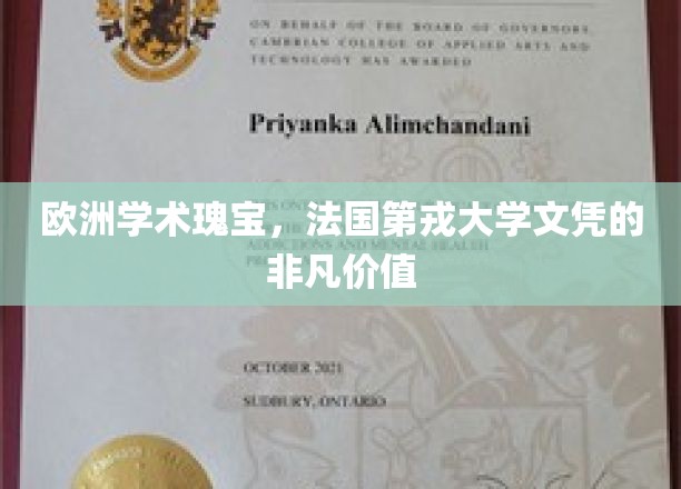 探寻欧洲学术巅峰，第戎大学文凭的璀璨魅力