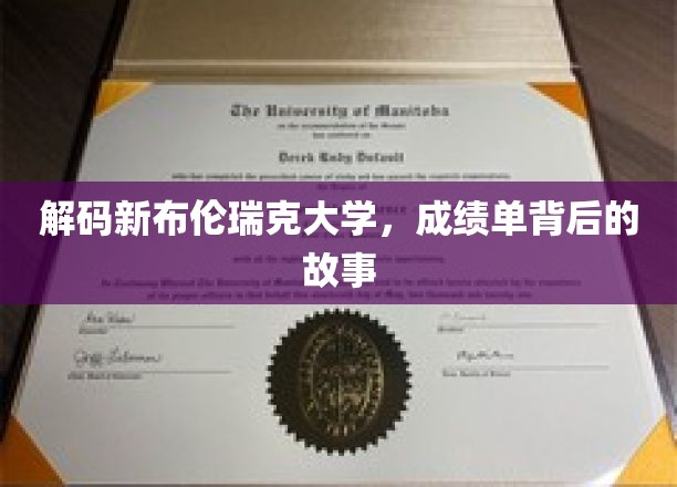 解码新布伦瑞克大学，成绩单背后的故事