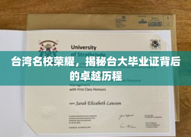 台大荣耀揭秘，毕业证书背后的非凡成长轨迹