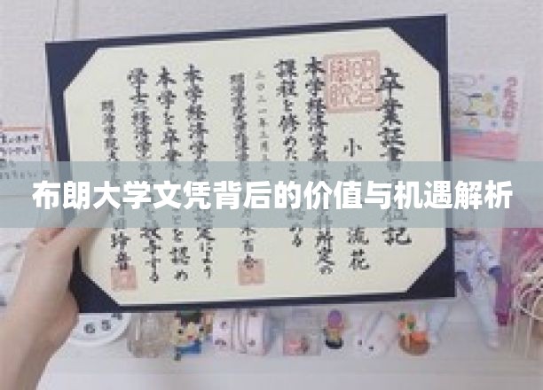 布朗大学文凭背后的价值与机遇解析