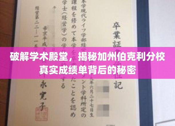 破解学术殿堂，揭秘加州伯克利分校真实成绩单背后的秘密
