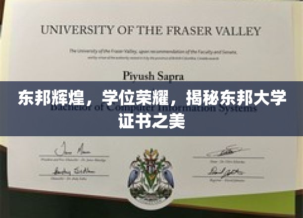 东邦荣耀，一探究竟，大学证书背后的辉煌传奇